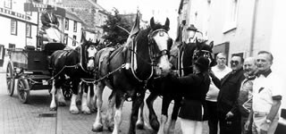 Tennents Brewery Dray team