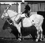 Captain James Sloan 1924-26