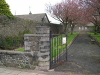 Rusty gates and old cherry trees
