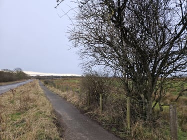 Bartonholm