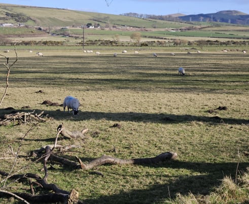 country scene near Hunterston